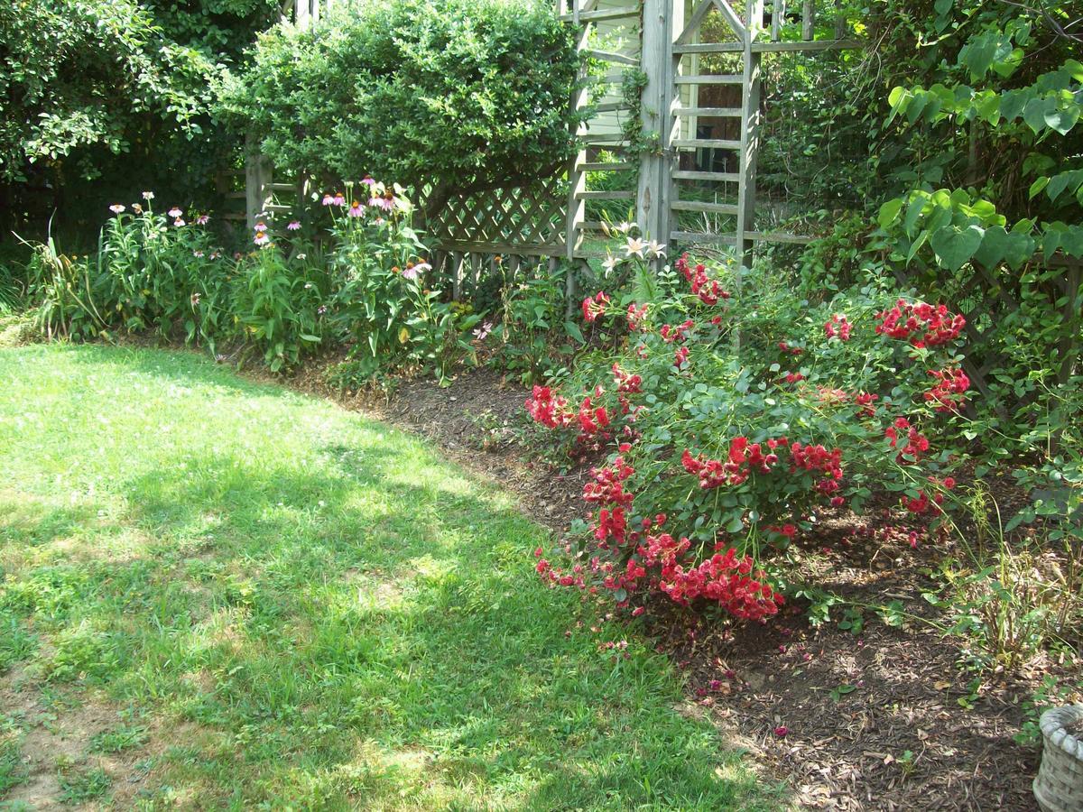 Hermansaders Victorian Mansion B & B 2* Columbia